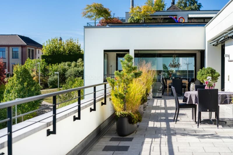 Urbane 4.5 Zimmer Attika-Wohnung mit 169 m² Terrassenfläche (14)