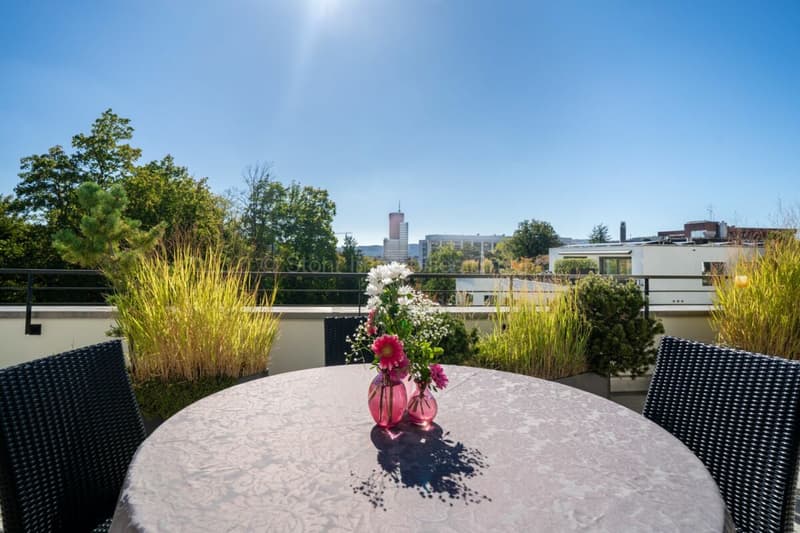 Urbane 4.5 Zimmer Attika-Wohnung mit 169 m² Terrassenfläche (3)