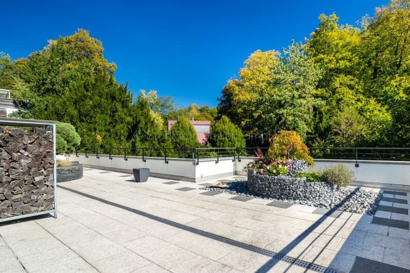 Urbane 4.5 Zimmer Attika-Wohnung mit 169 m² Terrassenfläche (4)