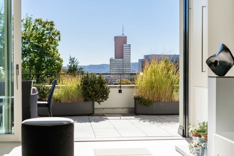 Urbane 4.5 Zimmer Attika-Wohnung mit 169 m² Terrassenfläche (5)