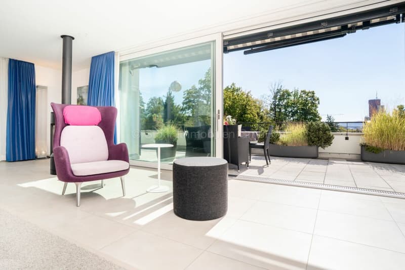 Urbane 4.5 Zimmer Attika-Wohnung mit 169 m² Terrassenfläche (20)