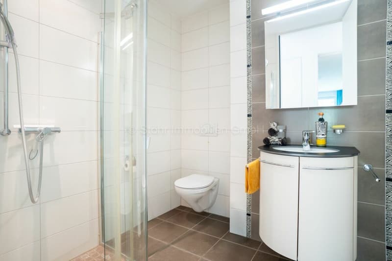 Urbane 4.5 Zimmer Attika-Wohnung mit 169 m² Terrassenfläche (28)