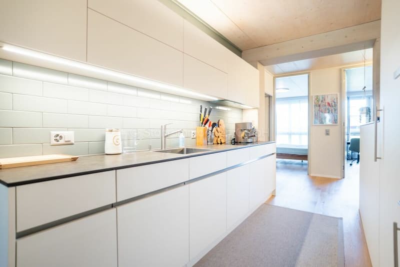 Gepflegte 3.5-Zimmer-Wohnung in der Überbauung «Krokodil» (5)