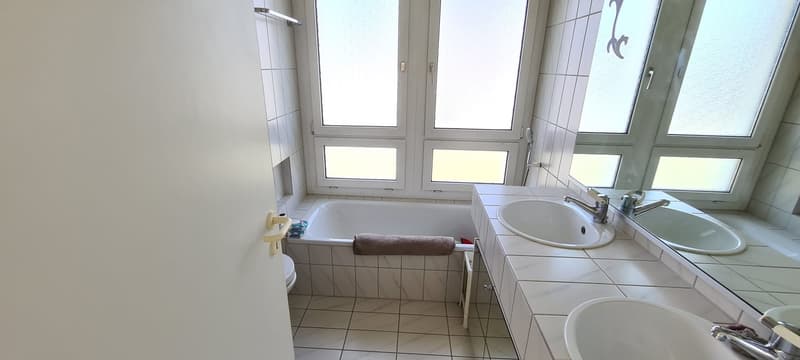 3 Zimmer-Wohnung in Winterthur mieten (9)