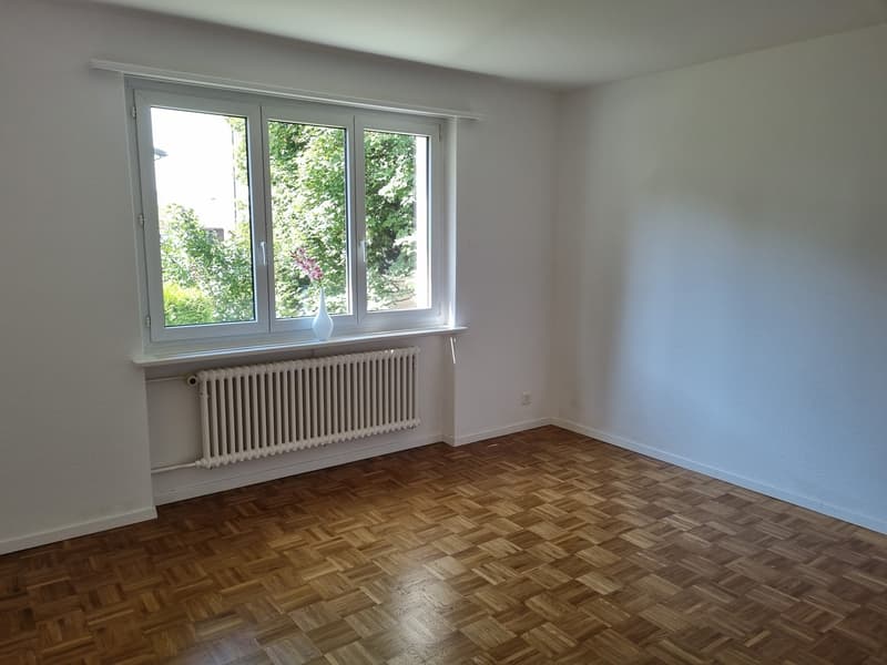 3 Bedroom Apartment, 8610 Uster (3)