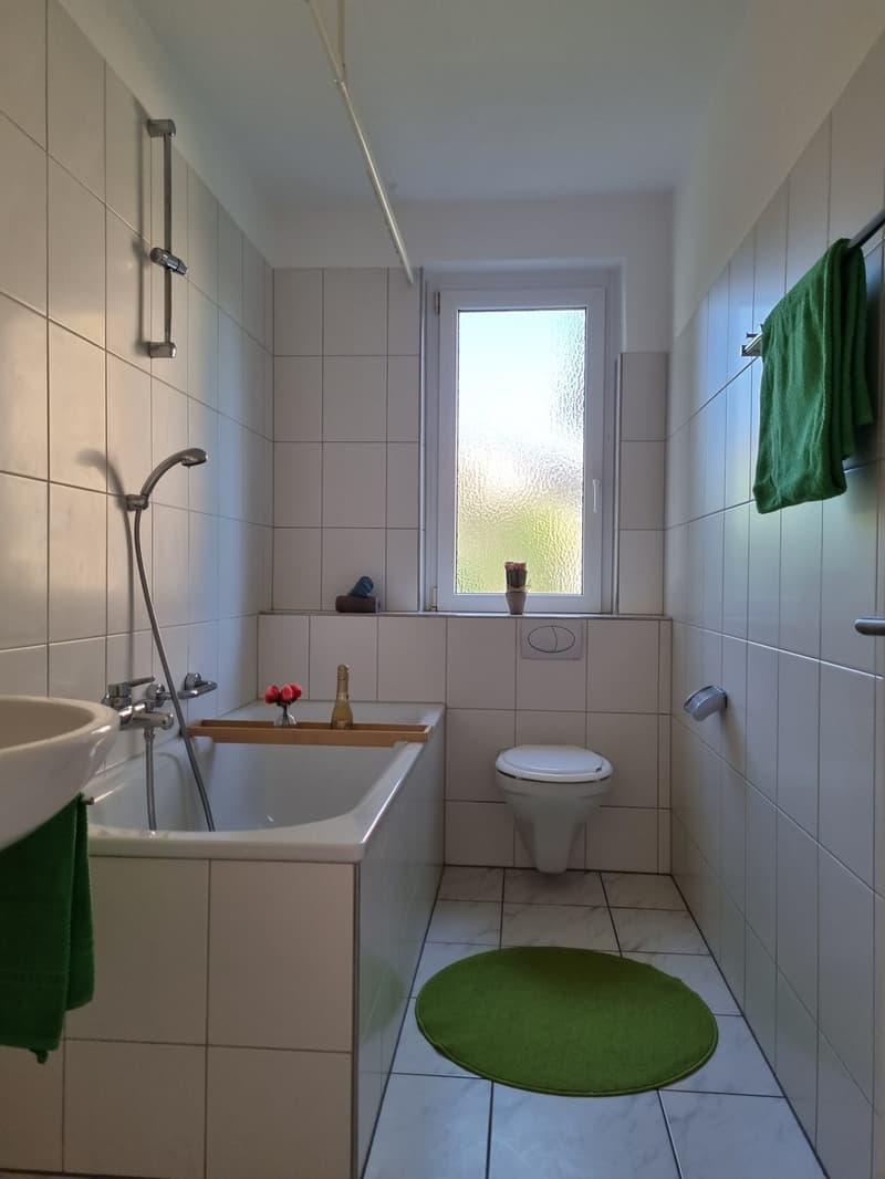 3 Bedroom Apartment, 8610 Uster (2)