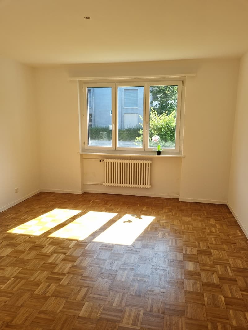 3 Bedroom Apartment, 8610 Uster (4)