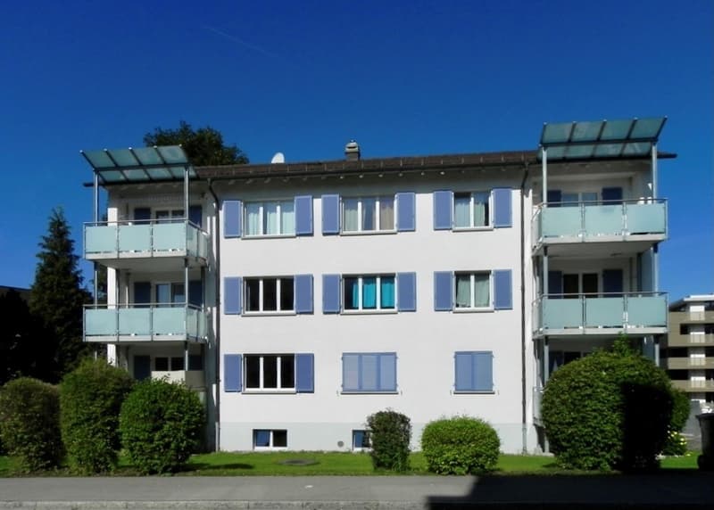 3 Bedroom Apartment, 8610 Uster (5)