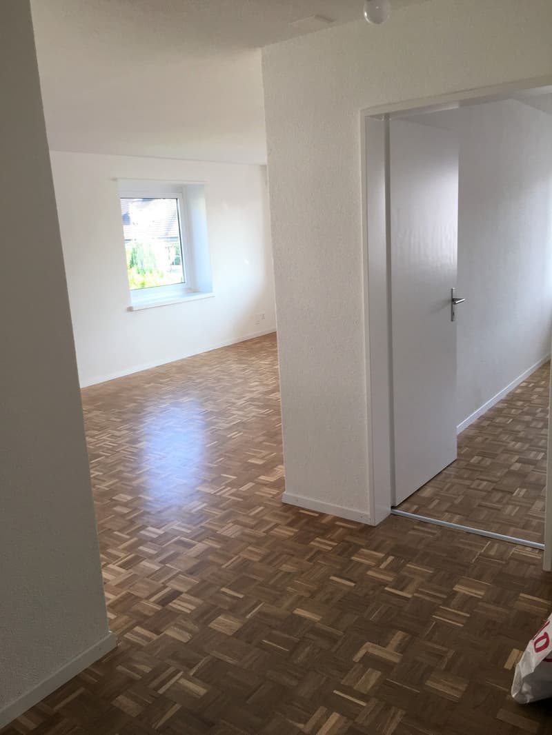 Appartamento di 3 camere in affitto a Schlieren (6)