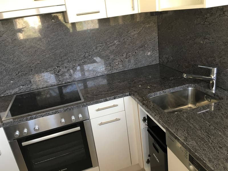 Appartamento di 3 camere in affitto a Schlieren (2)