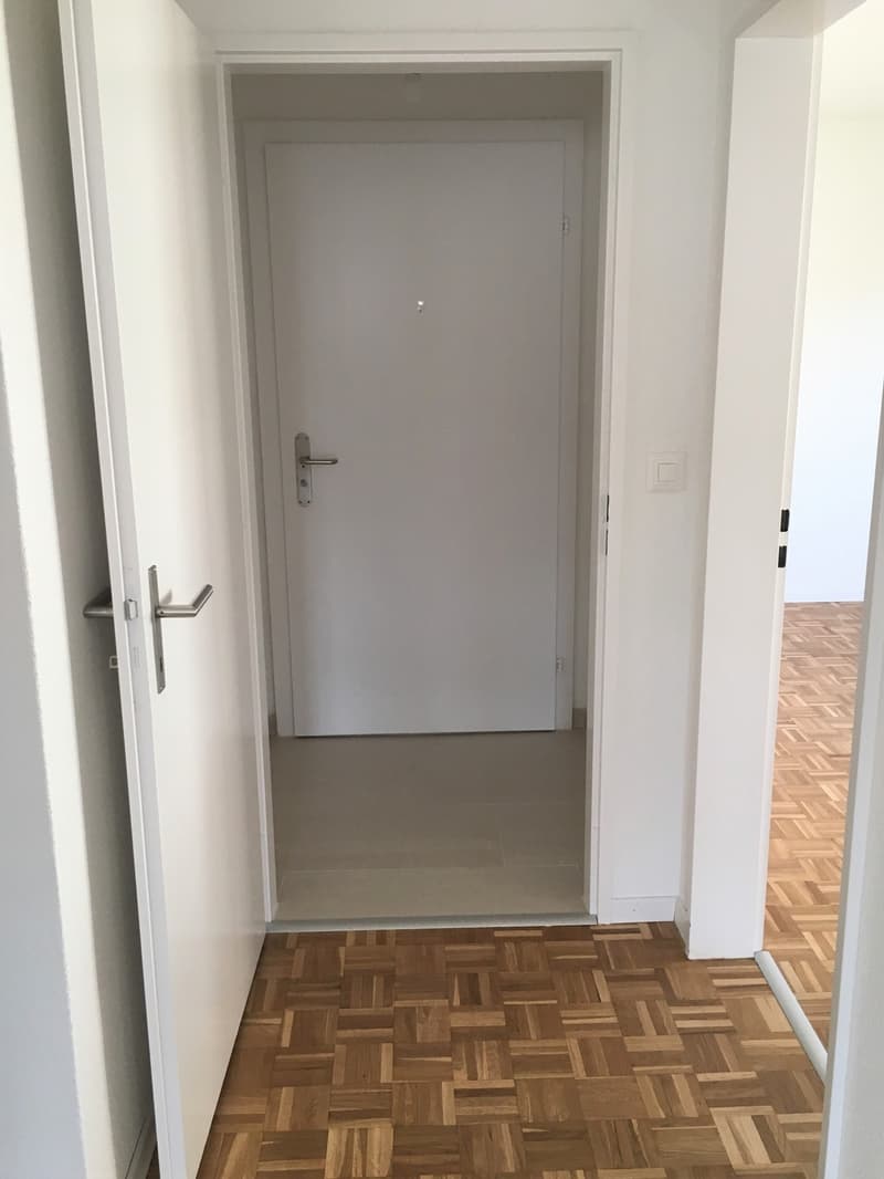 Appartamento di 3 camere in affitto a Schlieren (4)