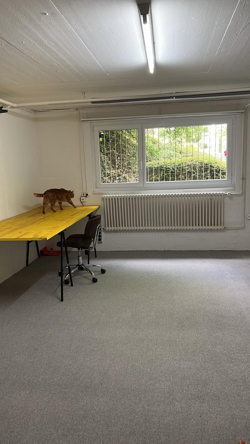 Stanza da lavoro con lavandino (1)