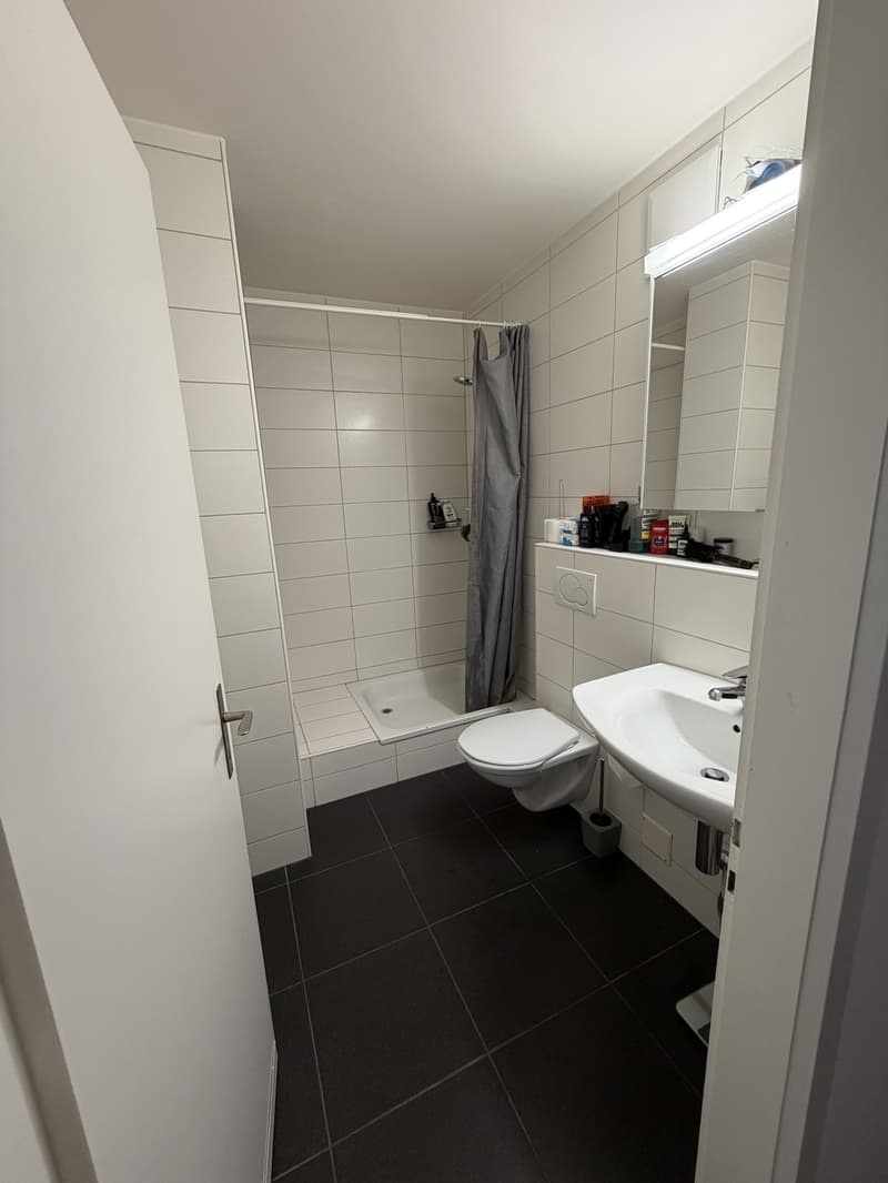 Charmant appartement en coopérative (3)