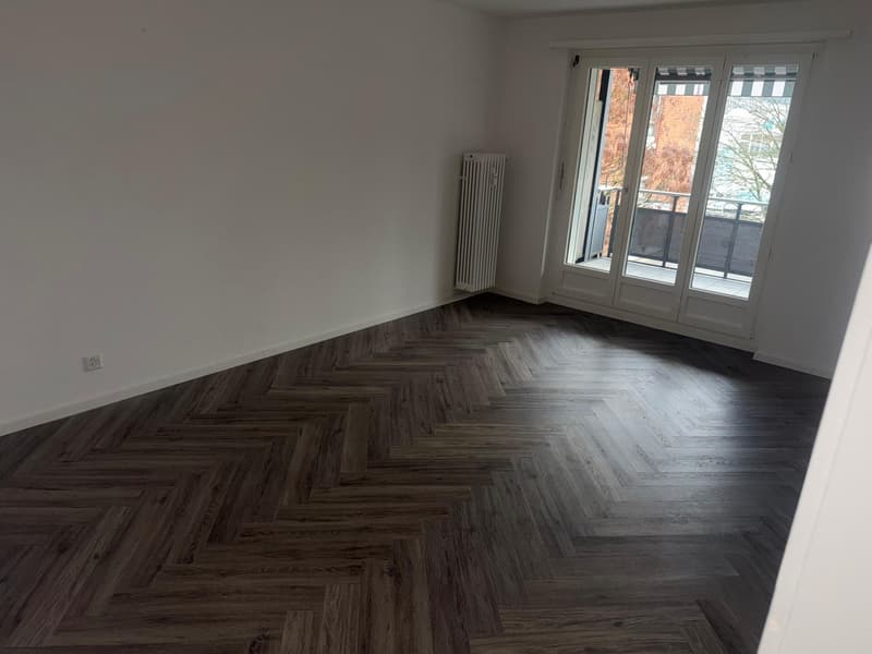 Neusanierte Wohnung zu vermieten (1)