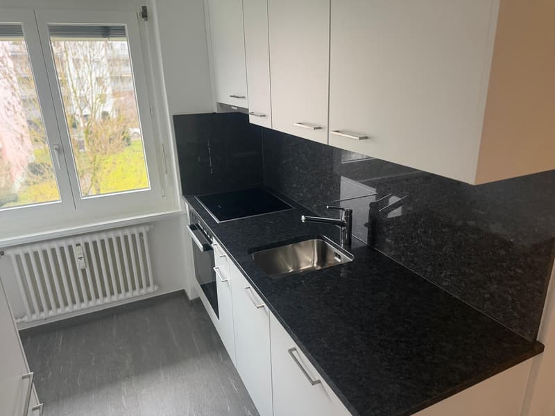Neusanierte Wohnung zu vermieten (3)