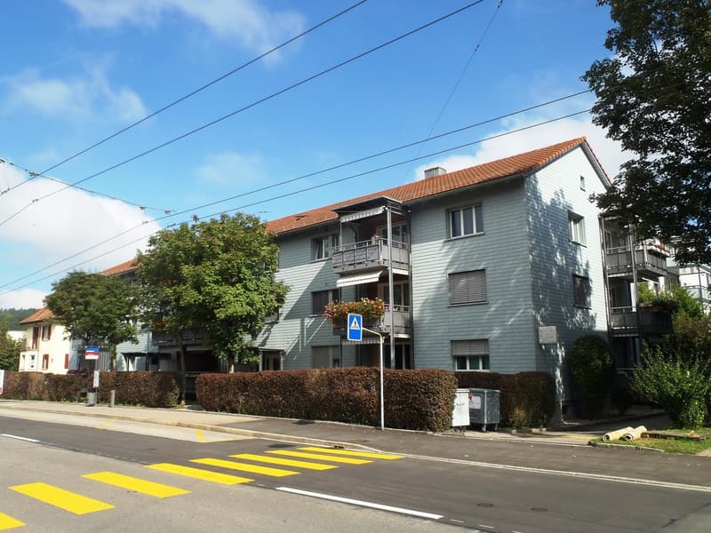 Neusanierte Wohnung zu vermieten (6)