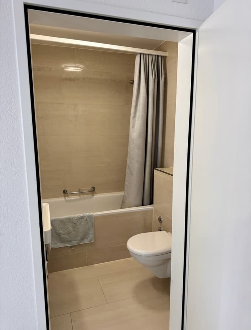 3 Zimmer-Wohnung, 8212 Neuhausen am Rheinfall (5)