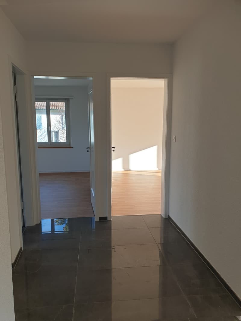 Attraktive 3-Zimmer-Wohnung mit Balkon in Zürich-Schwamendingen (3)