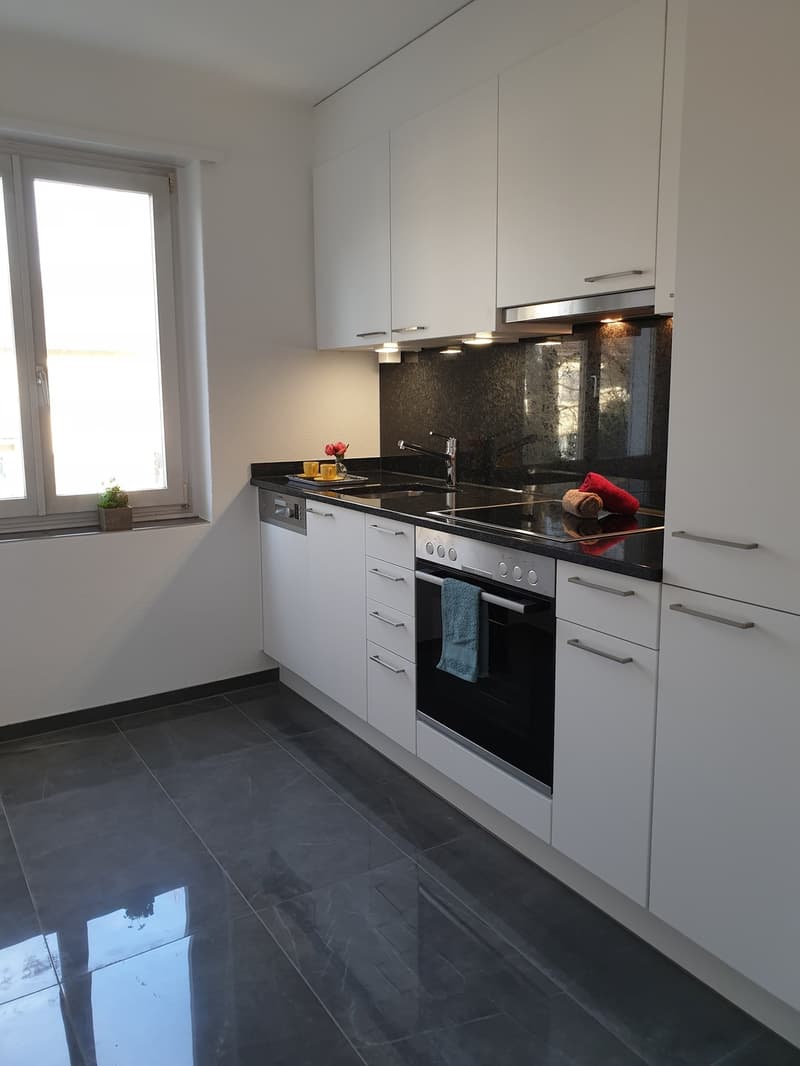 Attraktive 3-Zimmer-Wohnung mit Balkon in Zürich-Schwamendingen (1)