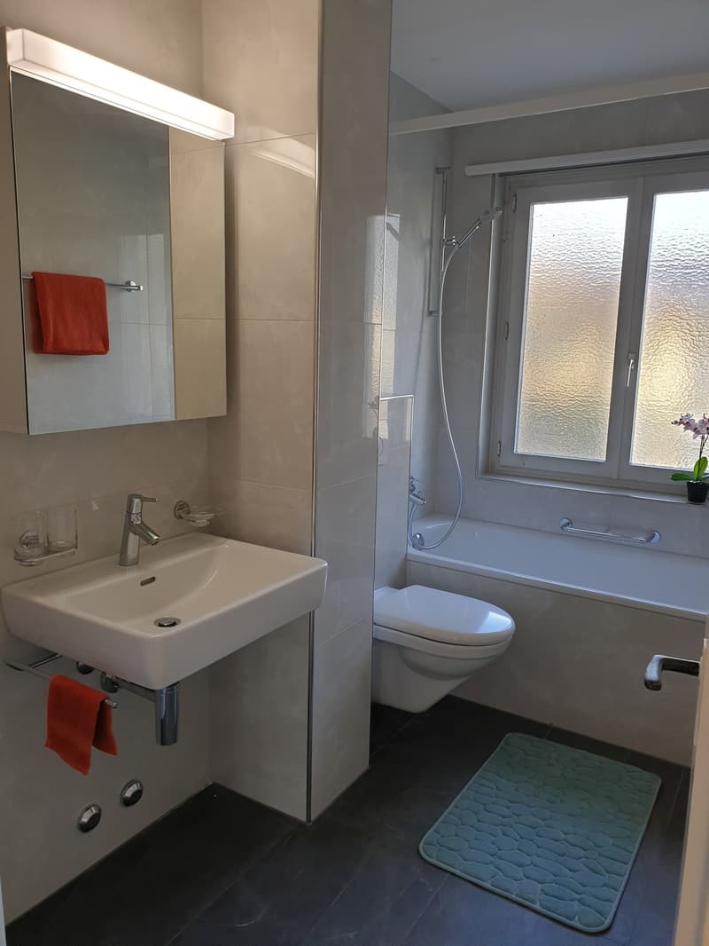 Attraktive 3-Zimmer-Wohnung mit Balkon in Zürich-Schwamendingen (2)