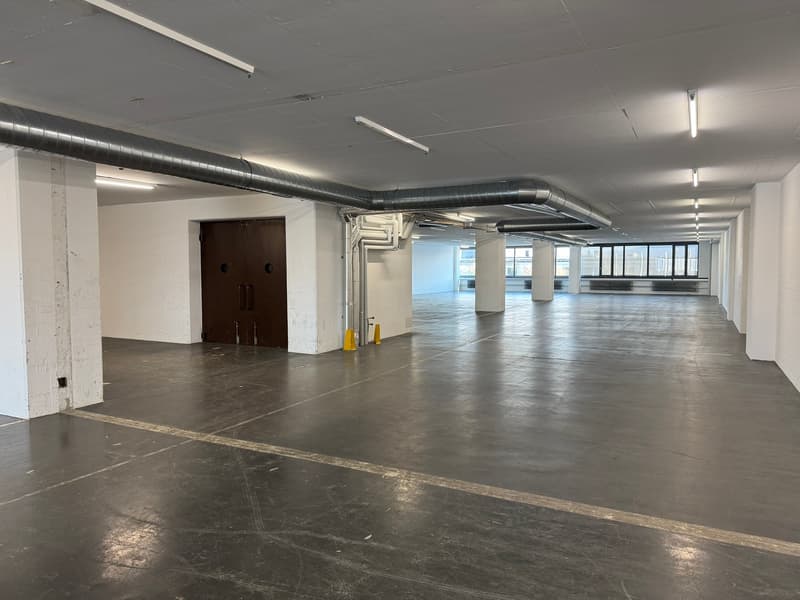 Espace commercial au 4e étage – Concept de vente et d'entrepôt moderne à Dietikon (3)