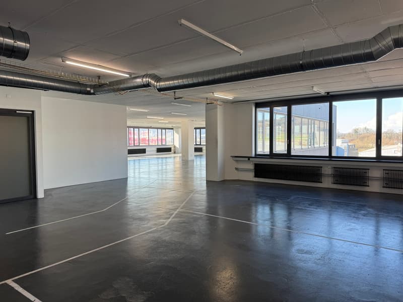 Espace commercial au 4e étage – Concept de vente et d'entrepôt moderne à Dietikon (22)