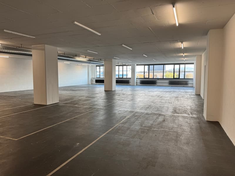 Espace commercial au 4e étage – Concept de vente et d'entrepôt moderne à Dietikon (21)
