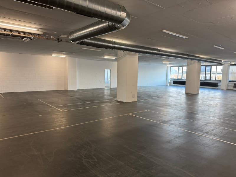 Espace commercial au 4e étage – Concept de vente et d'entrepôt moderne à Dietikon (4)