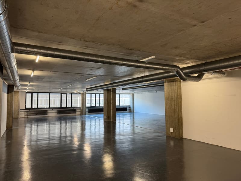 Espace commercial au 4e étage – Concept de vente et d'entrepôt moderne à Dietikon (23)