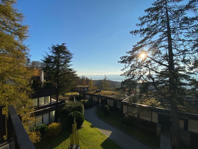 Exklusives 4.5-Zimmer-Duplex-Apartment mit Pool und atemberaubendem Ausblick neben dem Dolder (1)