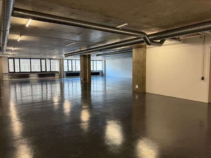 Commercial space on the 4th floor – 1'800 m² on Riedstrasse 8, Dietikon (7)