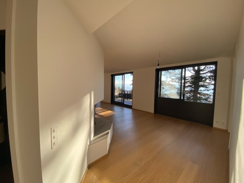 Exclusive apartment in the Dolder quarter (8)