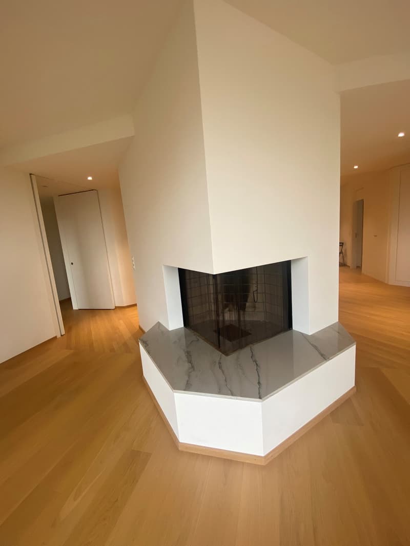 Exclusive apartment in the Dolder quarter (4)