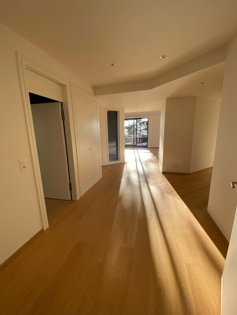 Exclusive apartment in the Dolder quarter (6)