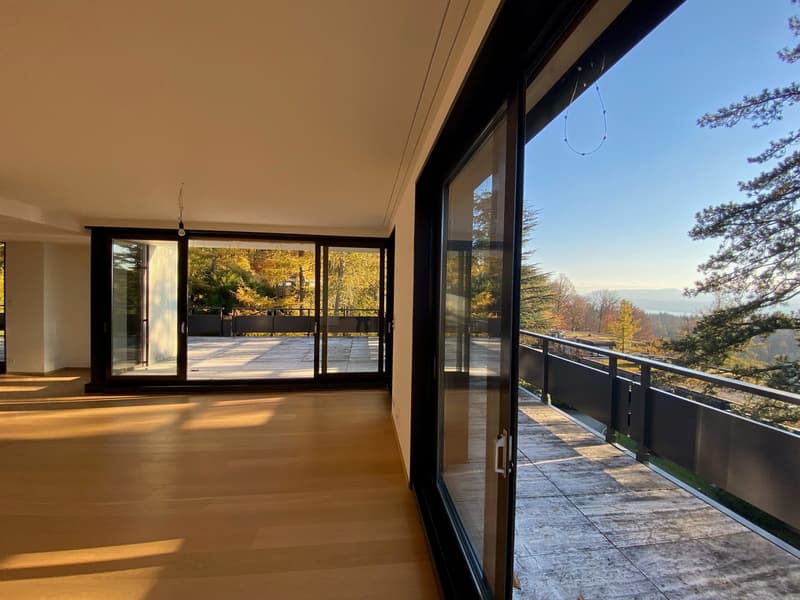 Exclusive apartment in the Dolder quarter (12)