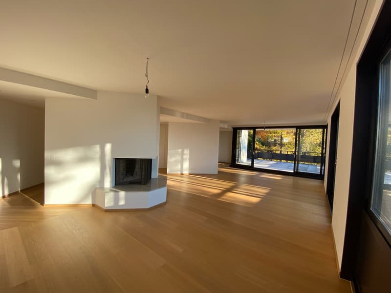 Exclusive apartment in the Dolder quarter (11)