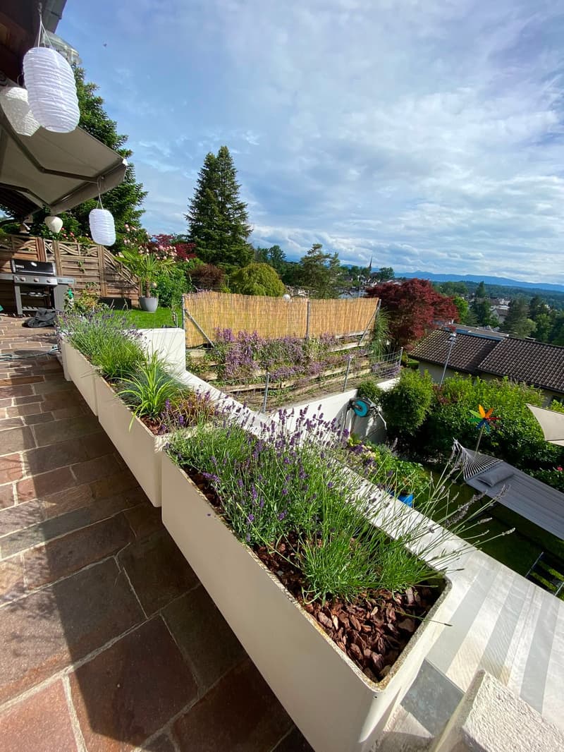 Charmante 4-Zimmer-Maisonette-Wohnung mit Garten und Aussicht in die Berge in Gossau ZH (6)