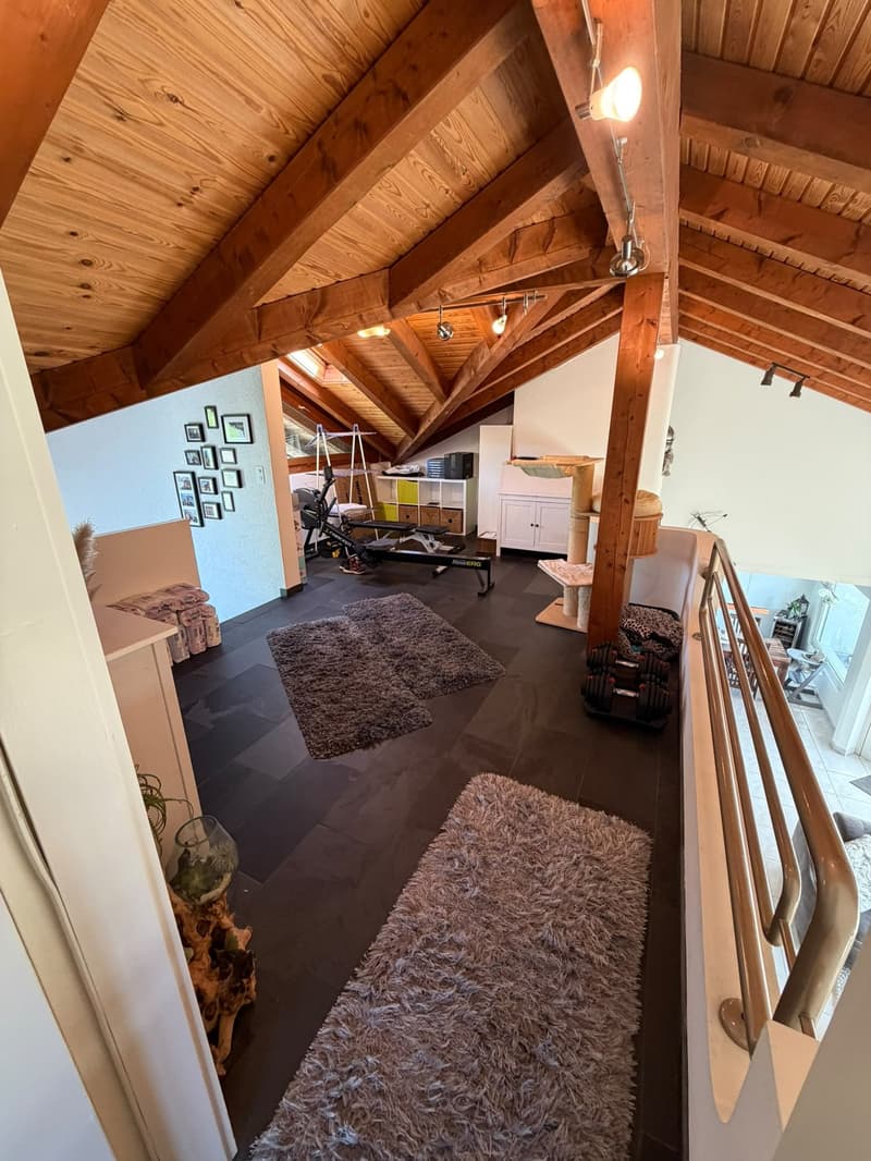 Charmante 4-Zimmer-Maisonette-Wohnung mit Garten und Aussicht in die Berge in Gossau ZH (3)