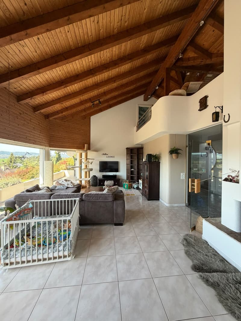 Charmante 4-Zimmer-Maisonette-Wohnung mit Garten und Aussicht in die Berge in Gossau ZH (1)