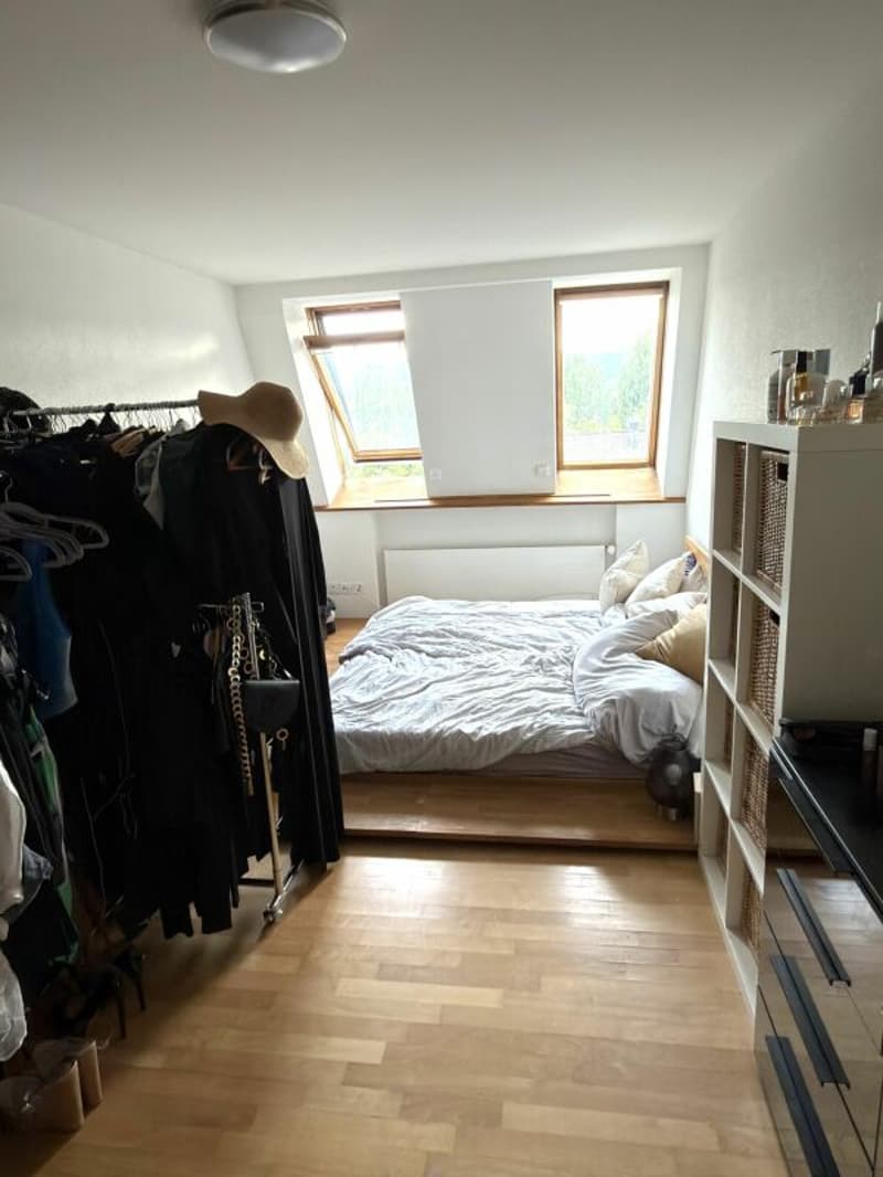 Appartamento attico esclusivo con 90 m² di terrazza privata sul tetto e accesso diretto in ascensore in posizione di prima scelta a Zurigo Seefeld (5)