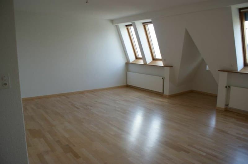 Appartamento attico esclusivo con 90 m² di terrazza privata sul tetto e accesso diretto in ascensore in posizione di prima scelta a Zurigo Seefeld (7)