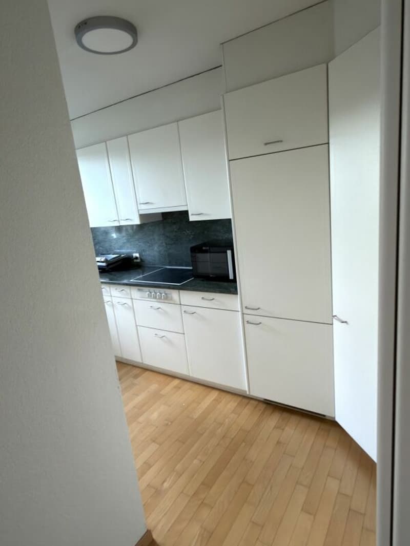 Appartamento attico esclusivo con 90 m² di terrazza privata sul tetto e accesso diretto in ascensore in posizione di prima scelta a Zurigo Seefeld (12)