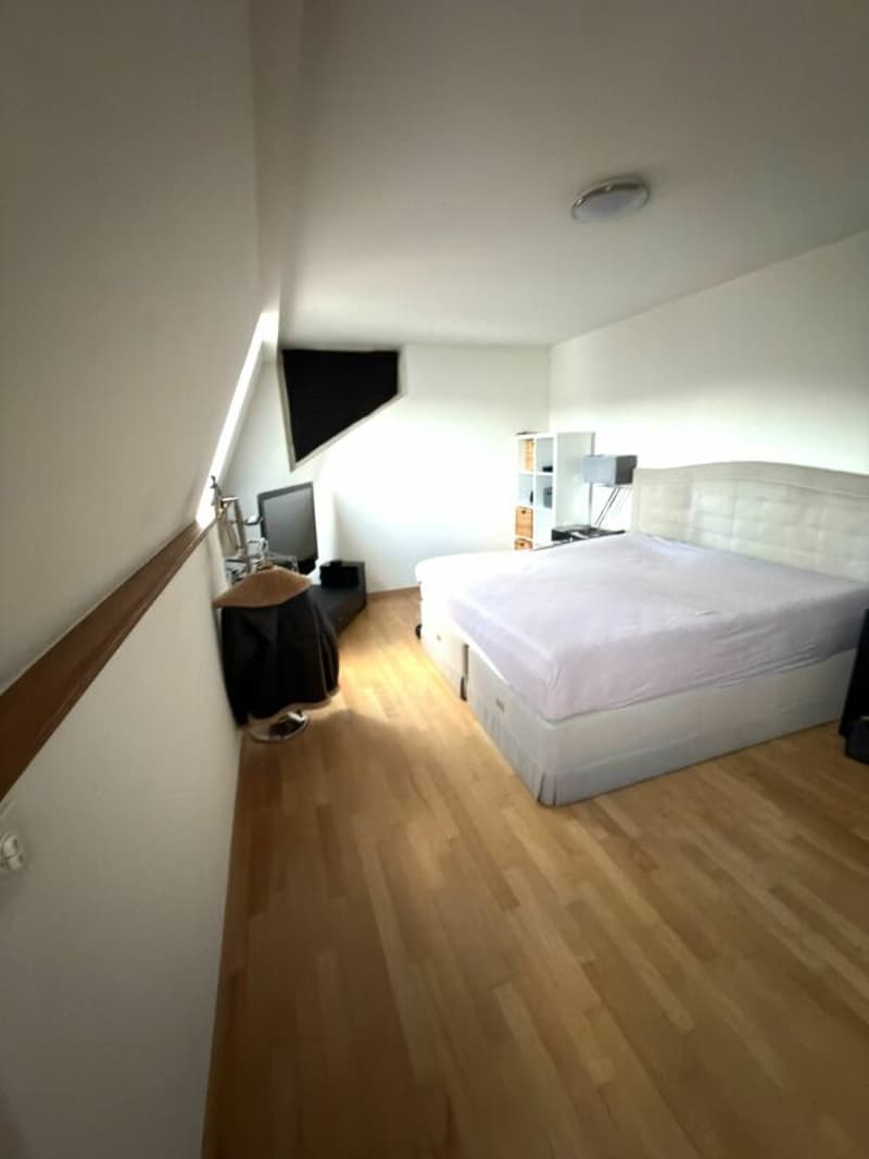 Appartamento attico esclusivo con 90 m² di terrazza privata sul tetto e accesso diretto in ascensore in posizione di prima scelta a Zurigo Seefeld (8)