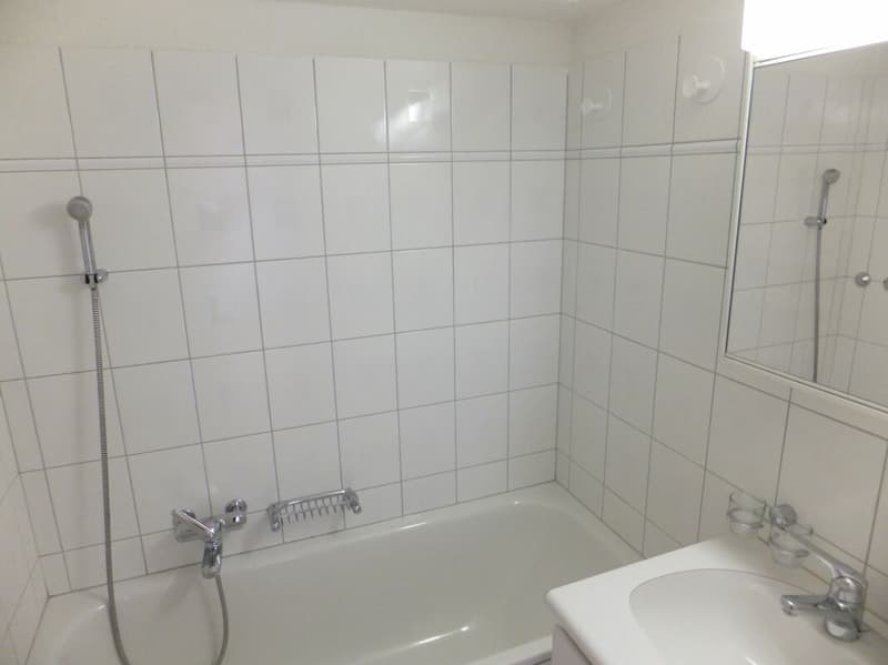 Über den Dächern vom Zürcher Seefeld - 1. Zimmerwohung am Zürichsee (6)