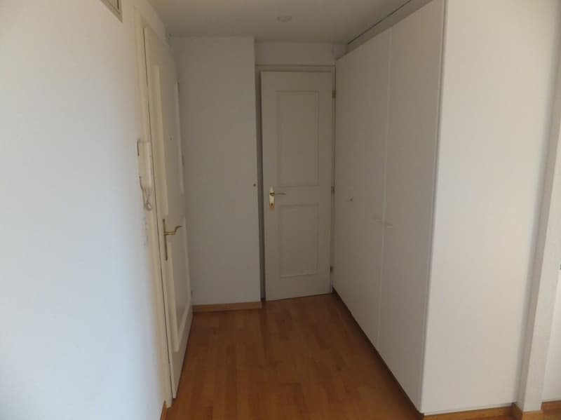 Über den Dächern vom Zürcher Seefeld - 1. Zimmerwohung am Zürichsee (6)