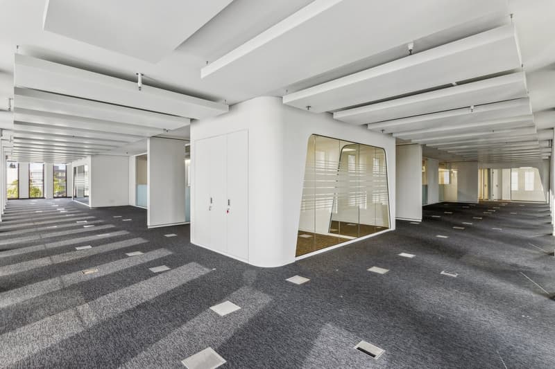 large open space, gray carpet, glass wall, white cabinets, white ceiling