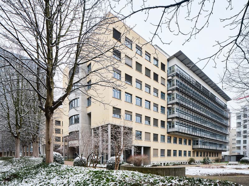 A multistory building with yellow exterior and glass windows. The building is surrounded by plants and trees, with snow on them.