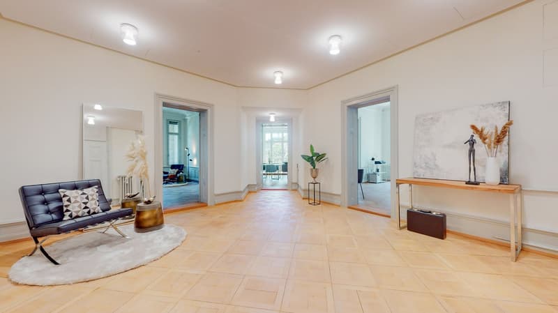 Il tuo nuovo ufficio nel prestigioso Castello Bianco direttamente sul lago di Zurigo (6)