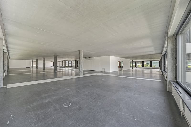 open space, gray floor, white walls, large windows, columns