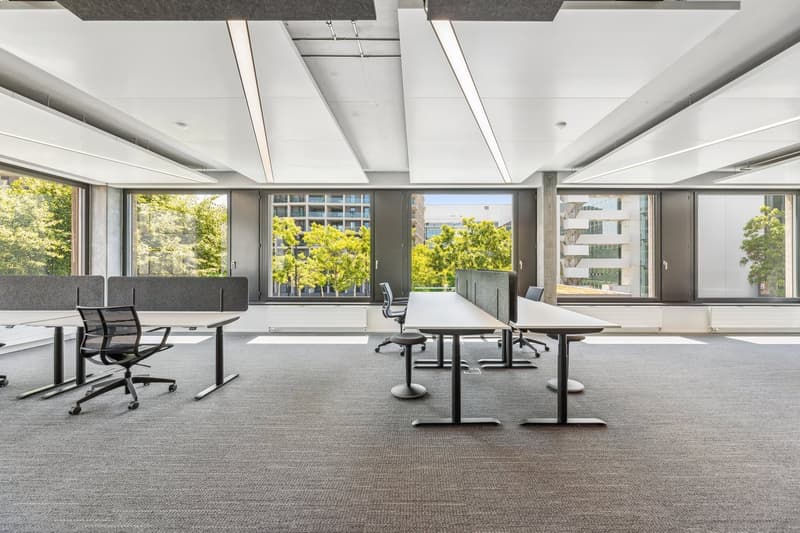 Modern office with large windows, desks, chairs, and carpeting.